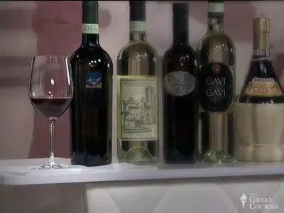 The everyday guide to wines of Italy (Video course)