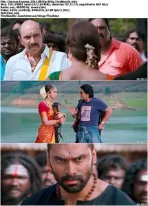 Chennai Express (2013)