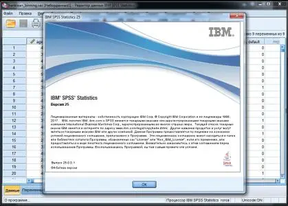 IBM SPSS Statistics 25.0 HF001 IF009(10)