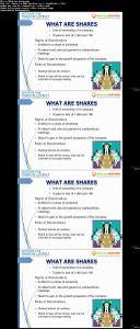 Fundamentals of Share Investing