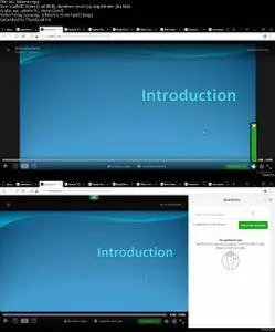 Beginners Guide to Options Trading for Forex