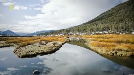 National Geographic - Wild Expedition Grizzly (2012)