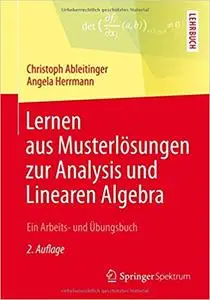 Lernen aus Musterlösungen zur Analysis und Linearen Algebra: Ein Arbeits- und Übungsbuch