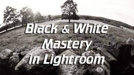 Black & White Mastery in Lightroom