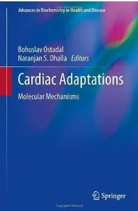 Cardiac Adaptations: Molecular Mechanisms