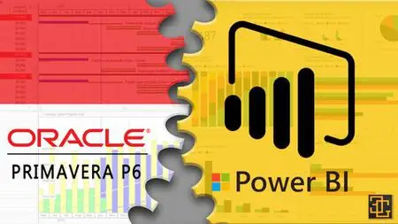 Primavera & Power Bi Integration | Interactive Dashboards