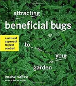Attracting Beneficial Bugs to Your Garden: A Natural Approach to Pest Control