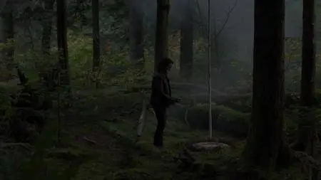 Twin Peaks S03E17