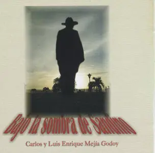 Luis Enrique & Carlos Mejía Godoy - Bajo La Sombra De Sandino  (2004)