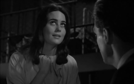 The Caretakers (1963)
