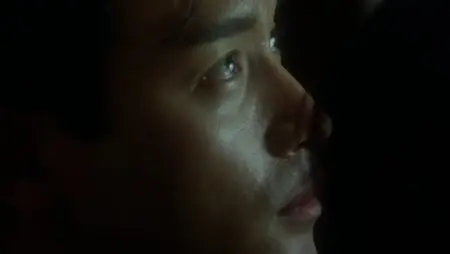Days Of Being Wild (1991)