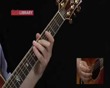 The Mechanics Of Acoustic Guitar [repost]