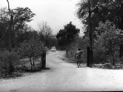 Days and Nights in the Forest (1970)