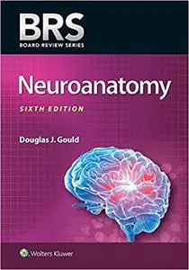 BRS Neuroanatomy (Board Review Series) 6th Edition