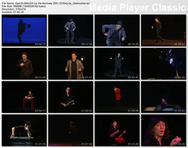 (One man show) Gad ELMALEH - La Vie Normale [DVDrip] 2001
