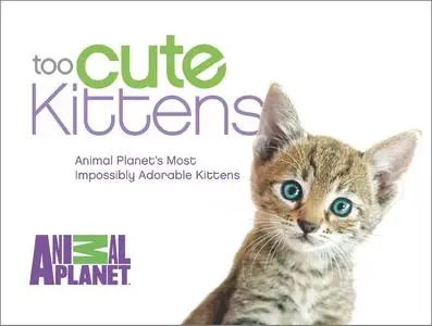 Too Cute Kittens: Animal Planet's Most Impossibly Adorable Kittens (repost)