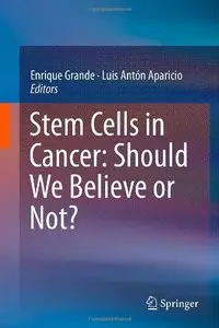 Stem Cells in Cancer: Should We Believe or Not? (Repost)