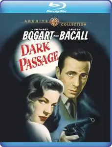 Dark Passage (1947)