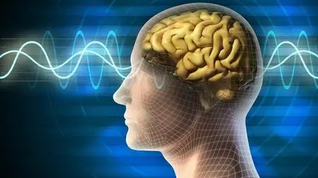 Neuroplasticity For Personal Change