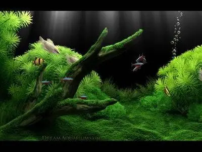 Dream Aquarium v1.0210 Full