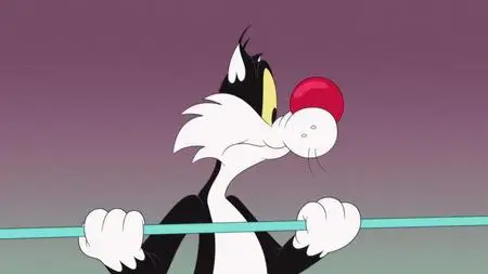 Looney Tunes Cartoons S01E90