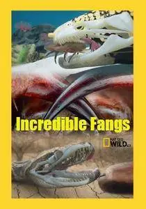 National Geographic - Incredible Fangs (2017)