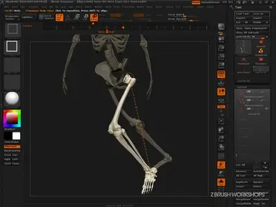 Anatomy 2.0R2 - Master Anatomy with Ryan Kingslien