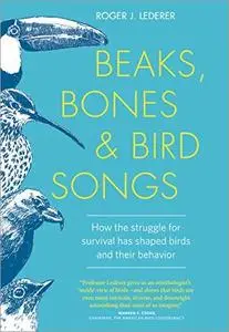 Beaks, Bones, and Bird Songs: How the Struggle for Survival Has Shaped Birds and Their Behavior