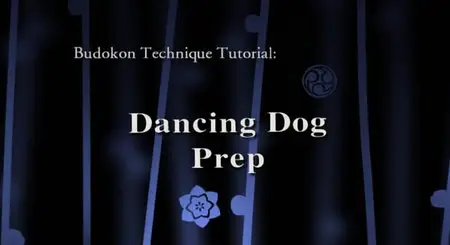 Cameron Shayne - Budokon DVD Set (2007)