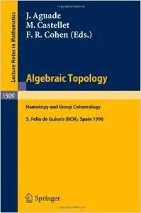 Algebraic Topology: Homotopy and Group Cohomology (Lecture Notes in Mathematics) by Jaume Aguade