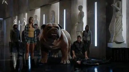 Marvels Inhumans / Inhumans S01E07 (2017)