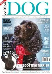 Edition Dog - Issue 25 - 26 November 2020