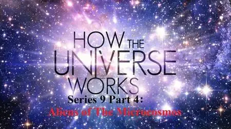 Sci Ch - How the Universe Works Series 9 Part 4: Aliens of the Microcosmos (2021)