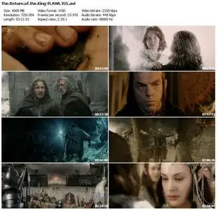 The Lord of the Rings : The Return of the King (2003)