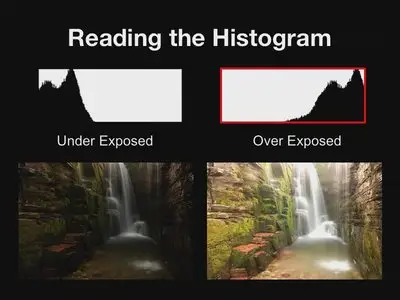 Photoshopcafe: Perfect Exposure for Digital Photography [repost]
