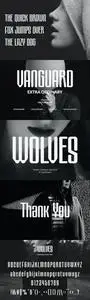 Wolves - Display Condensed Sans Serif Font