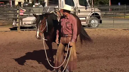 Buck (2011)