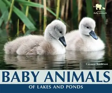 «Baby Animals of Lakes and Ponds» by Carmen Bredeson