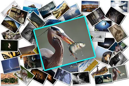 National Geographic's Photography Contest 2010