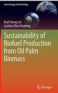 Sustainability of Biofuel Production from Oil Palm Biomass [Repost]