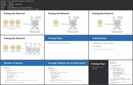 Transfer Learning for Images Using PyTorch: Essential Training [Repost]