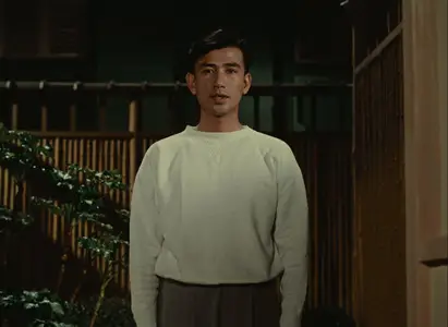Equinox Flower (1958)