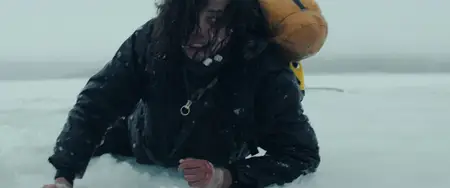 The Occupant (2025)