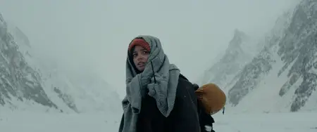 The Occupant (2025)