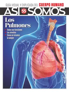 Así Somos El cuerpo humano - 15 Octubre 2025