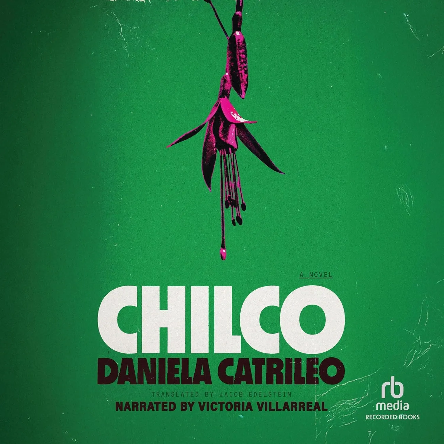 Chilco: A Novel