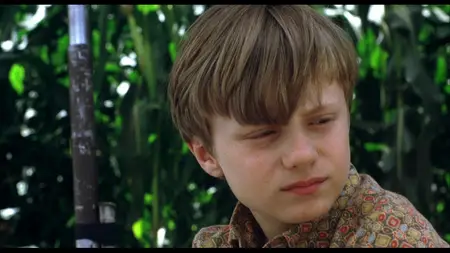 C'est pas moi, je le jure! / It's Not Me, I Swear! (2008)
