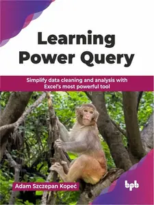 Learning Power Query: Simplify data cleaning and analysis with Excel’s most powerful tool