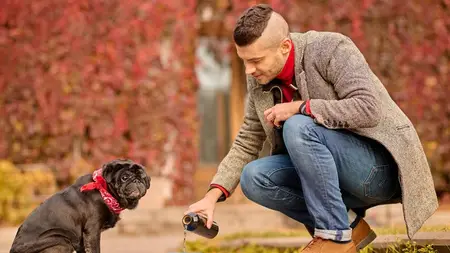 Pet Nutritionist Complete Training with Ration Formulation
