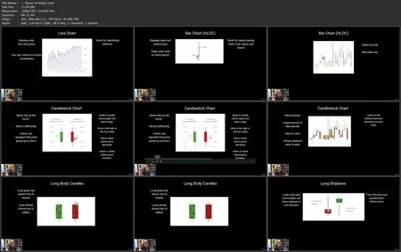 Beginner Trader Bootcamp